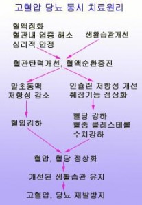혈액순환