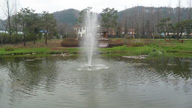 소변거품증상은 정상인에게도 나타나는 증상이지만 당뇨환자에게는 자주 발생하는 증상입니다. 당뇨환자들은 혈액내 노폐물이 많아 소변에도 노폐물도 증가하기 때문입니다.