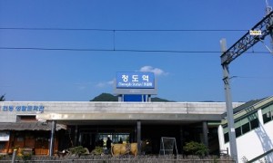 청도 개나소나콘서트