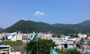청도 개나소나콘서트