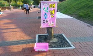 청도 개나소나콘서트