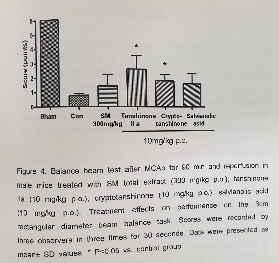 중풍 치료 뇌경색 뇌출혈 재발방지 공진단