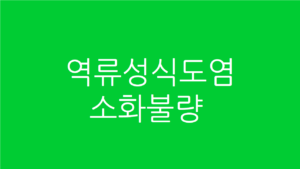 역류성식도염 소화불량