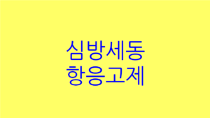 심방세동 항응고제