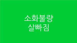 소화불량 살빠짐
