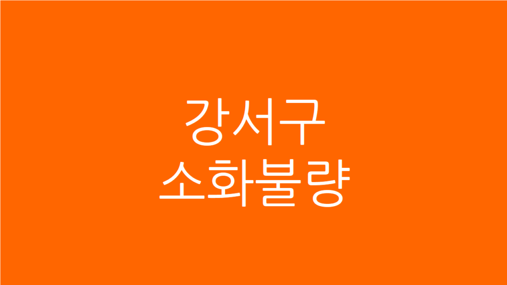강서구 소화불량