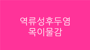 역류성후두염 목이물감