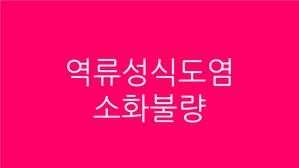 역류성식도염 소화불량