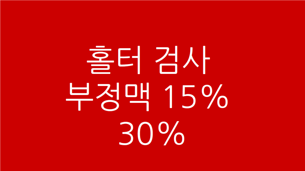 홀터검사 부정맥