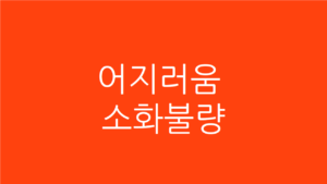 어지러움소화불량2025915