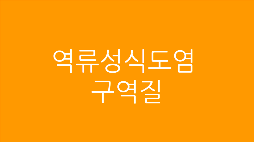 역류성식도염 구역질