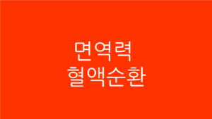 면역력 혈액순환