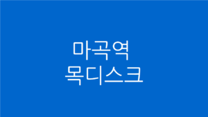 마곡역 목디스크