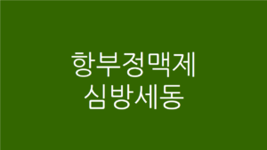 항부정맥제 심방세동