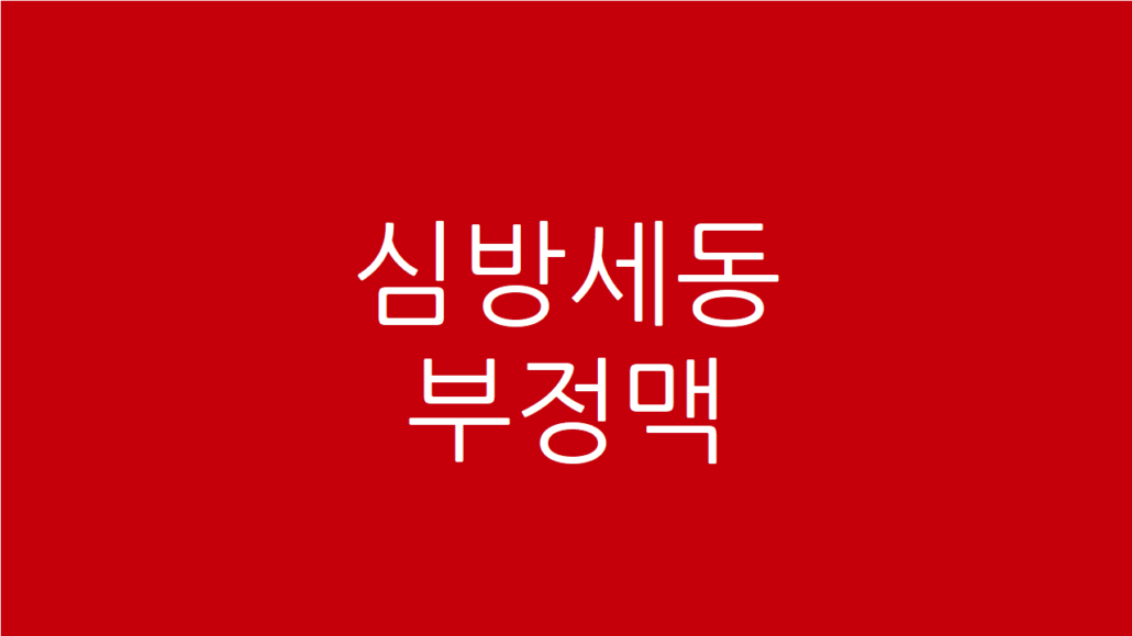 심방세동 부정맥