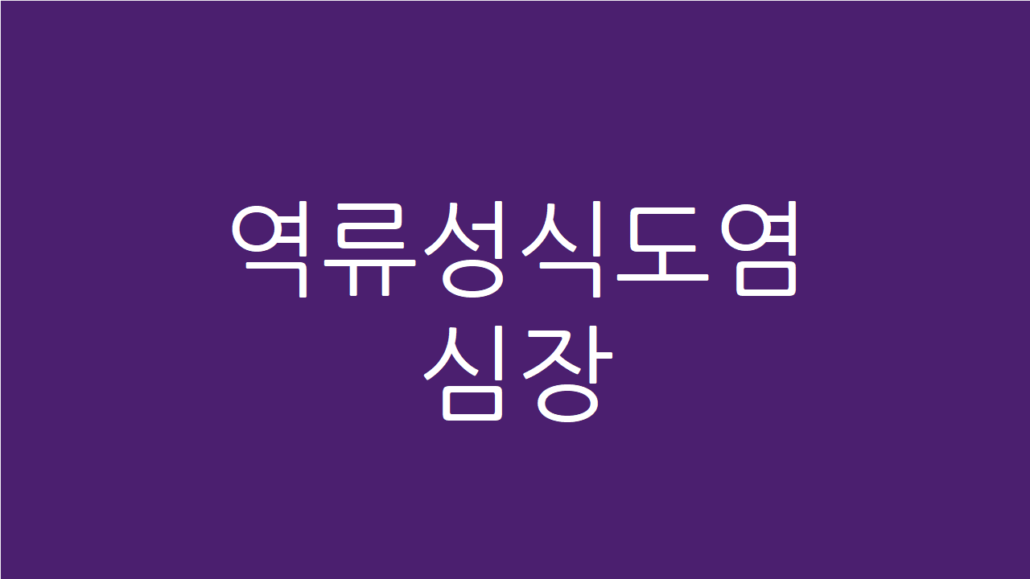 역류성식도염 심장