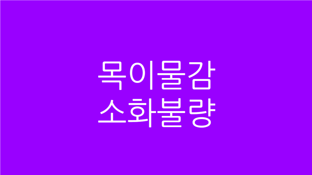 목이물감 소화불량