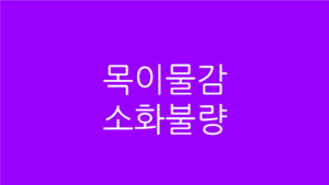목이물감 소화불량