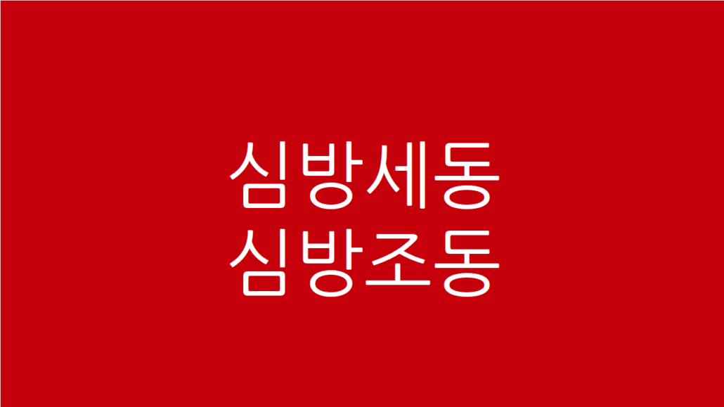 심방세동 심방조동